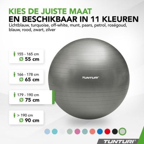 TUNTURI TUNTURI GYMBALL 75CM SILVER (14TUSFU349 SILVER) - 2Sport Keerbergen